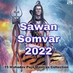 Sawan Somvar 2022 (15 Mahadev Puja Mantras Collection) - Ranjit Kumar Song Download